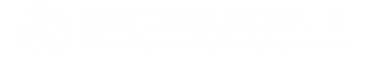 Nexa Impact Consulting